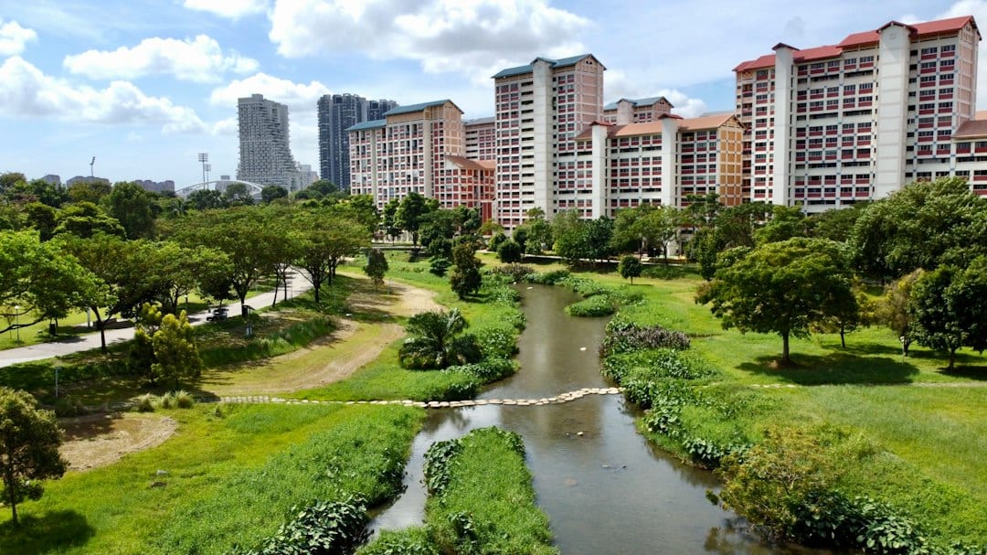 Bishan-Ang Mo Kio Park river and greenery