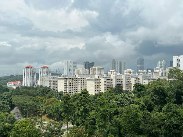 a city with trees and buildings