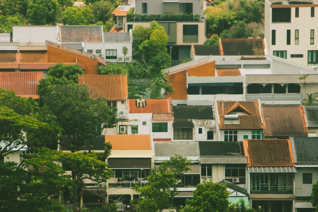 Tree-lined residential neighbourhood in District 26, Singapore — Upper Thomson, Lentor, Springleaf